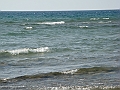 Western Michigan [2010] 874